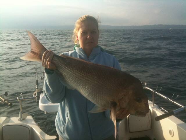 todays snapper